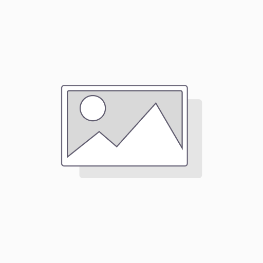 Mastering the Art of Inteviewing